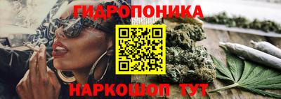 бошки Краснознаменск
